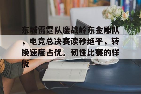 平博APP-东城雷霆队鏖战岭东金雕队，电竞总决赛读秒绝平，转换速度占优。韧性比赛的样板